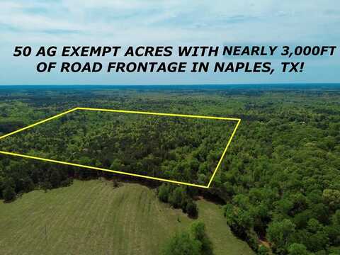 0 CR 2742, Naples, TX 75568