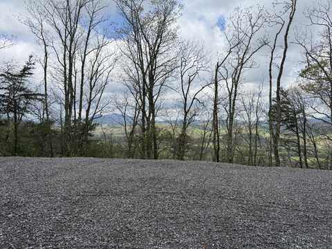 3.93 Acres Green Forest Road, Cosby, TN 37722
