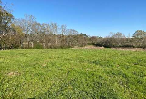 17.74 Ac Lower Myrick Rd, Laurel, MS 39443