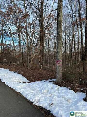 2636 Woodruff Lane, Stroud Twp, PA 18360