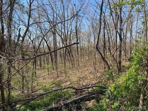2094 Port Perry Drive, Perryville, MO 63775