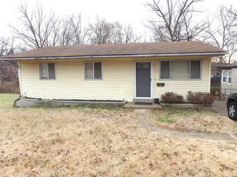 8922 Higginson Drive, Saint Louis, MO 63121