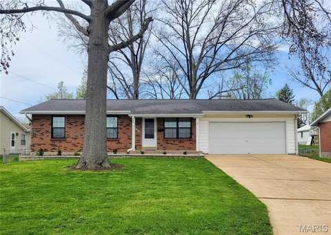 10123 Mullally Drive, Saint Louis, MO 63123
