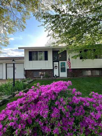 321 Todd Lane, Belleville, IL 62221