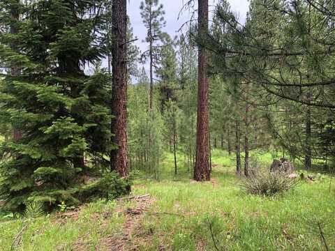 Silver Cloud Drive lot: 18, Cascade, ID 83611