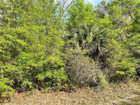 NW 74TH COURT, CHIEFLAND, FL 32626