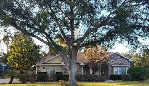 1072 CEASARS COURT, MOUNT DORA, FL 32757