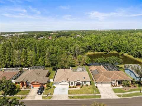 28451 GREAT BEND PLACE, WESLEY CHAPEL, FL 33543
