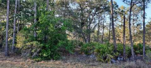 1012 JAPONICA DRIVE, INDIAN LAKE ESTATES, FL 33855
