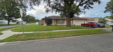 12144 CHIVE STREET, ORLANDO, FL 32837