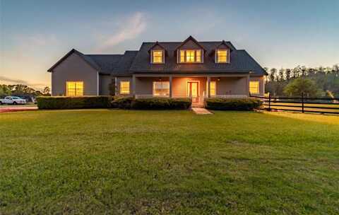 19530 BARRIE ACRES TRAIL, ODESSA, FL 33556