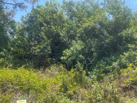 11101 VANESSA AVENUE, ENGLEWOOD, FL 34224