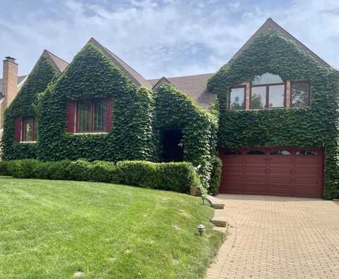 8209 N Oleander Avenue, Niles, IL 60714