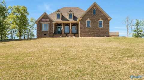 201 Legendary Drive, Guntersville, AL 35976