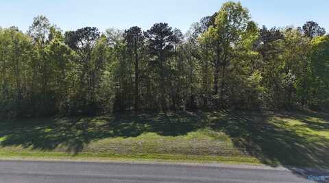 14 Worthington Lane, Guntersville, AL 35976