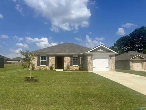105 Gulf Hills Avenue, Toney, AL 35773