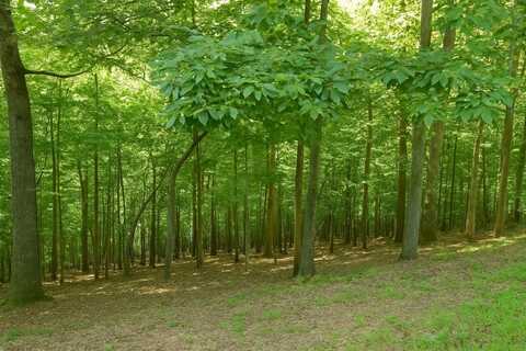 1016 Gateway Drive, Ellijay, GA 30540