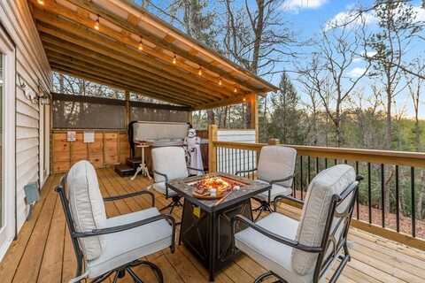 1159 Shenendoa Drive, Ellijay, GA 30540