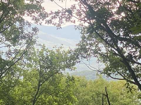 Lt M176 Walnut Ridge, Ellijay, GA 30536