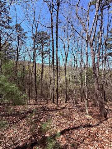 Lot 751 Morton Drive, Ellijay, GA 30540