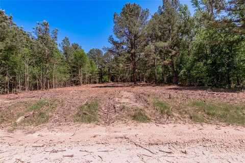 T4 677 CR 4200, Pennington, TX 75856