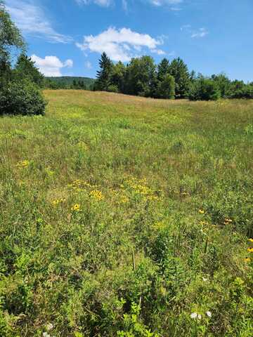 0 Route 115, Carroll, NH 03595