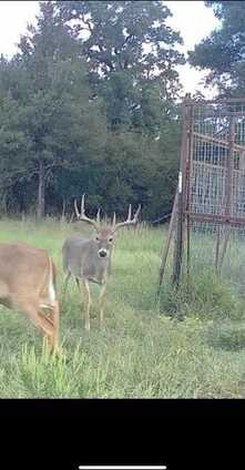 13215 County Road 136, Gordon, TX 76453