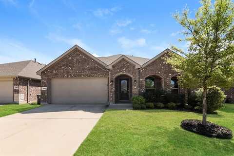 1304 Renoir Drive, Little Elm, TX 75068