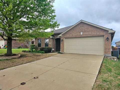 227 Creekwood Drive, Princeton, TX 75407