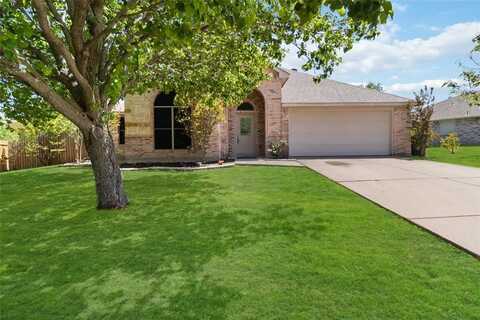 1920 Fountain Spray Drive, Wylie, TX 75098
