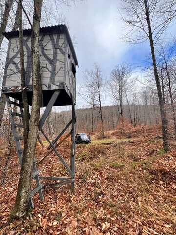 Lot (125.000-1-26.200) (59.1 Acres) State Route 8, Hoffmeister, NY 13353