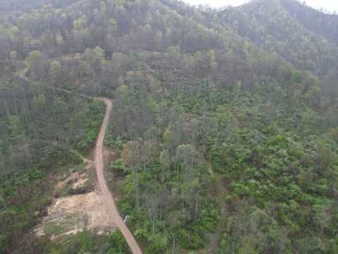14001 Ridgeview Nellis Road, Ashford, WV 25142