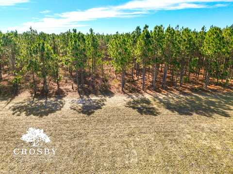 0 Mineral Springs Street, Lamar, SC 29069