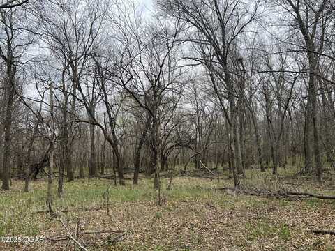 #100 S 575 Road, Deerfield, MO 64741