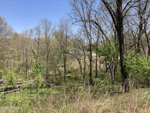 Tbd Lot 6 Scenic Avenue, Joplin, MO 64804