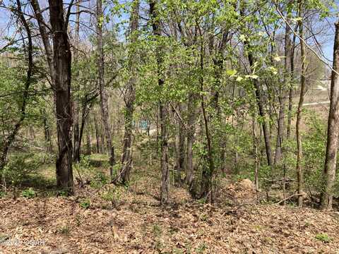 Tbd Lot 5 Scenic Avenue, Joplin, MO 64804