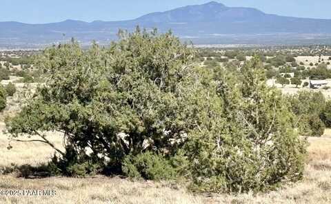 Lot 42 W Rawhide Ranch Road, Ash Fork, AZ 86320