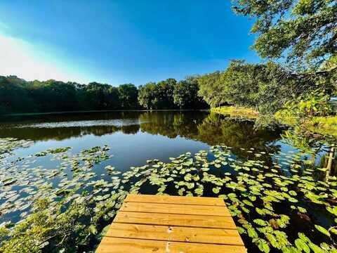 1610 PALM LEAF DRIVE, BRANDON, FL 33510