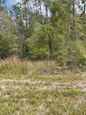 14139 PIGEON ROAD, HUDSON, FL 34669