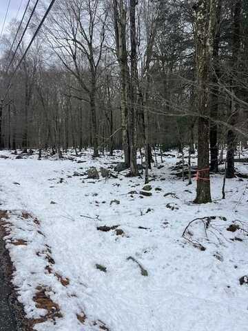 Cobblewood Road, Gouldsboro, PA 18424