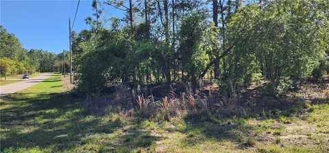 1812 W Oliver Drive, Citrus Springs, FL 34434