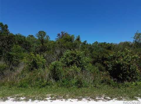 33455 Berryhill Drive, Webster, FL 33597