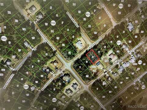 8112 N Voyager Drive, Citrus Springs, FL 34433