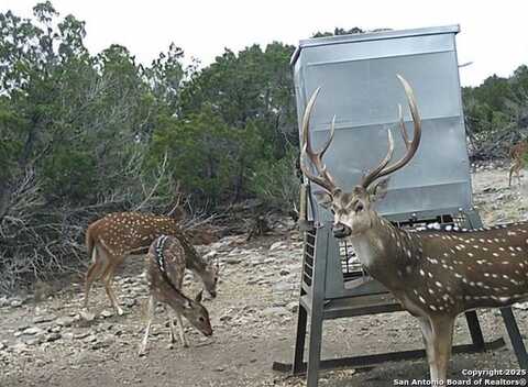 Tbd West Nueces Ranch, Lot 20, Rocksprings, TX 78880
