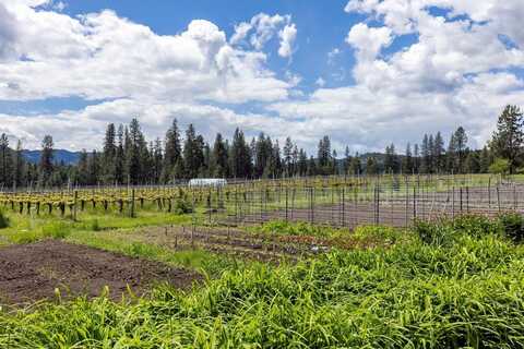 3752 Vineyard Way, Kettle Falls, WA 99141