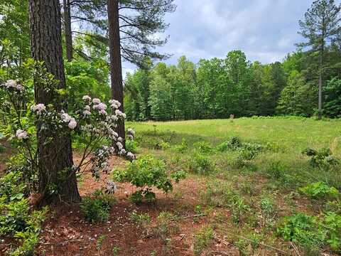 Mt Alto Rd, Esmont, VA 22937