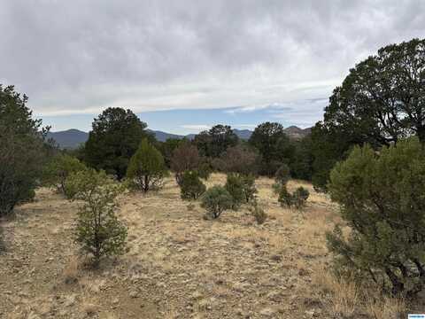 Xxx Nikki's Road, Silver City, NM 88061