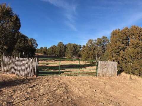 5 Acres CR A20, Las Vegas, NM 87701