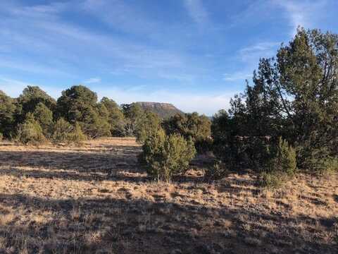 5 Acres CR A20, Las Vegas, NM 87701