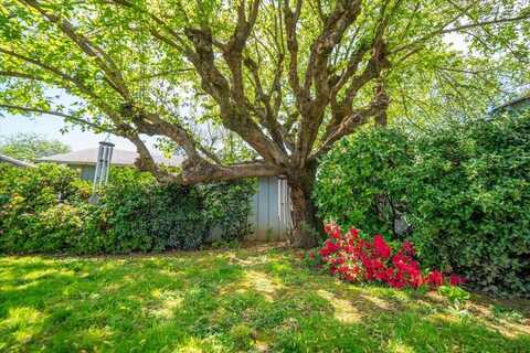 875 South Street, Redding, CA 96001